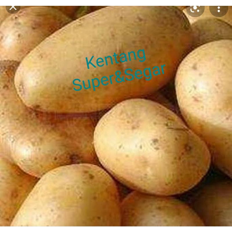 

Kentang fresh 500gr