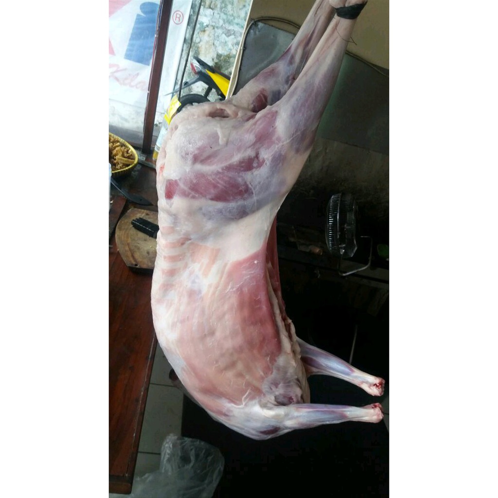 

karkas kambing atau domba Berkualitas