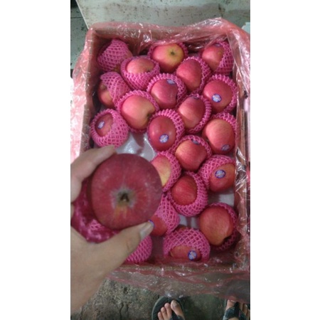 

buah apel fuji super|buah apel bandung|nuri fruits|buah segar|buah segar bandung|buah bandung