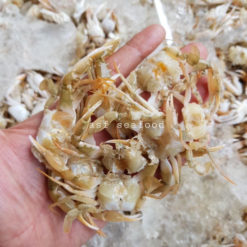 

Baby Crab / Kepiting Kecil / Crispy Crab Mentah 1kg