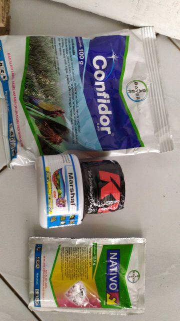 Fungisida Bayer Nativo 75wg 12,5gr