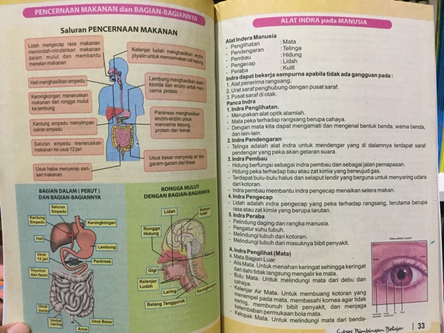 Sukses BIMBEL Bimbingan Belajar Untuk SD (IPS,IPA,PKN,B.Indonesia,Matematika)