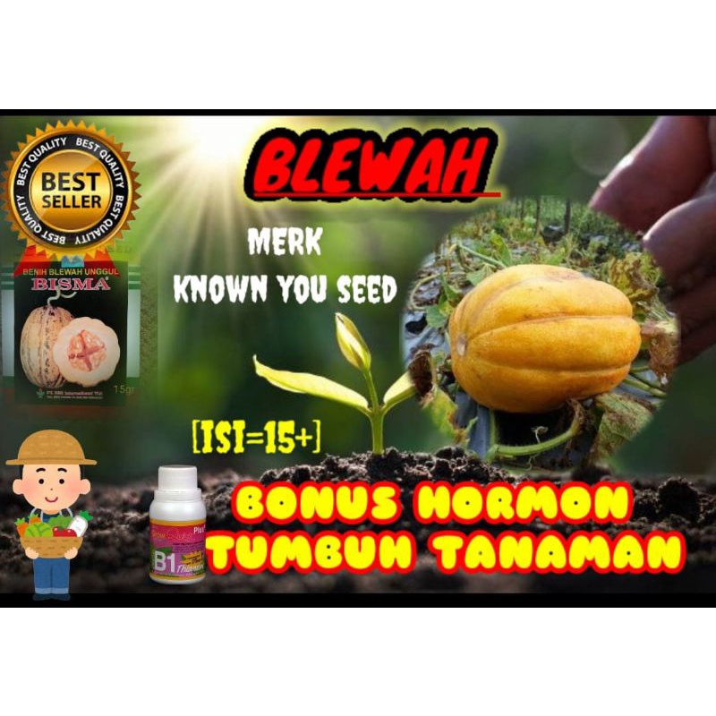 Benih Blewah known you seed