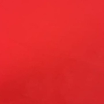 BENTLEY Karpet Bludru Bulu Tebal (0.5m x 2m), Karpet Brudu Murah, Pameran, Alas duduk, Alas Kasur-CHILLI RED