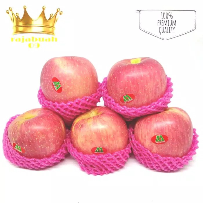 

Apel Fuji Fresh 1 kg