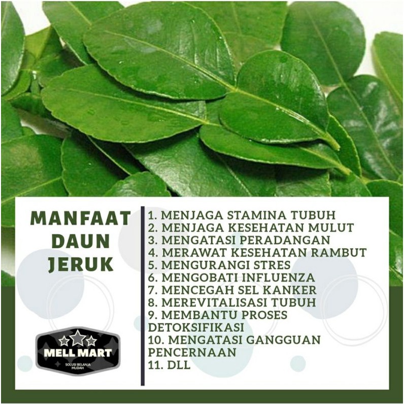 

daun jeruk segar asli 200grm