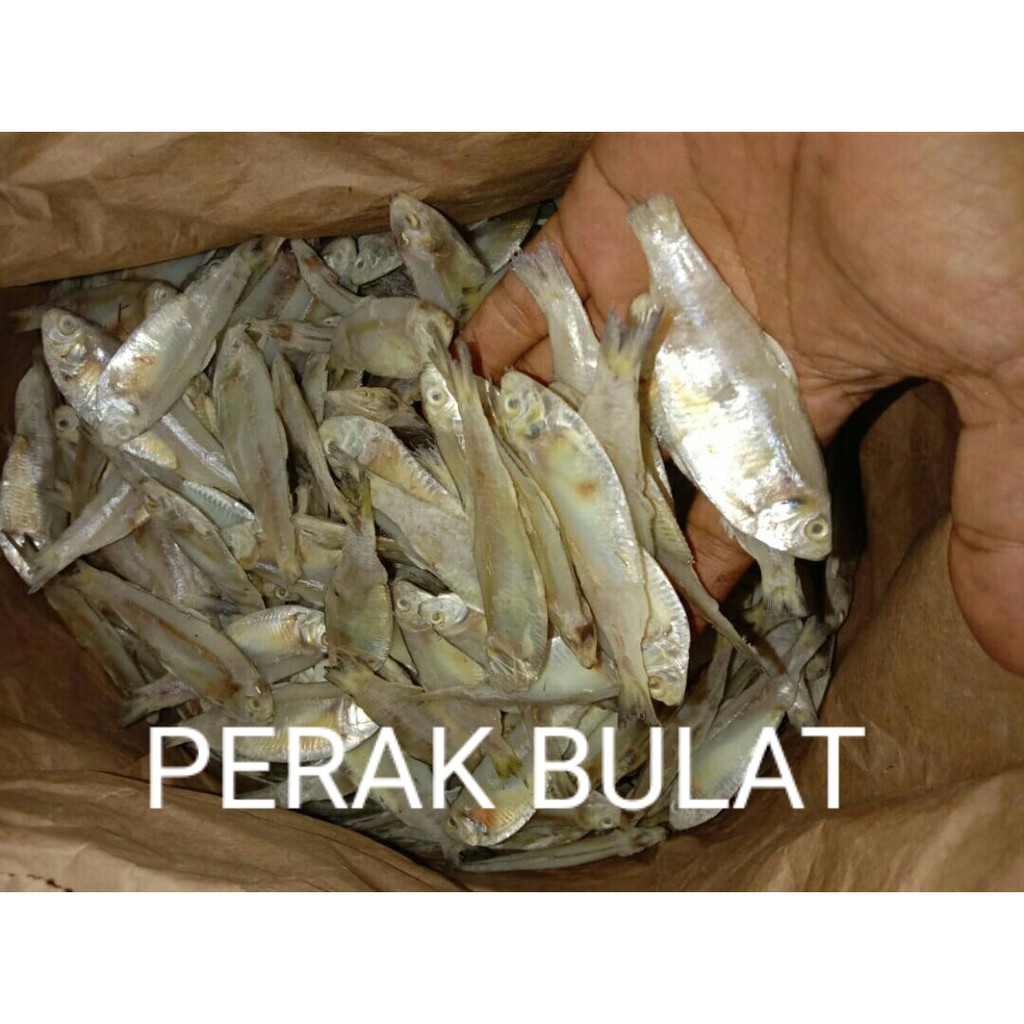 

Ikan Asin Perak Bulat ( 1.000 Gr )