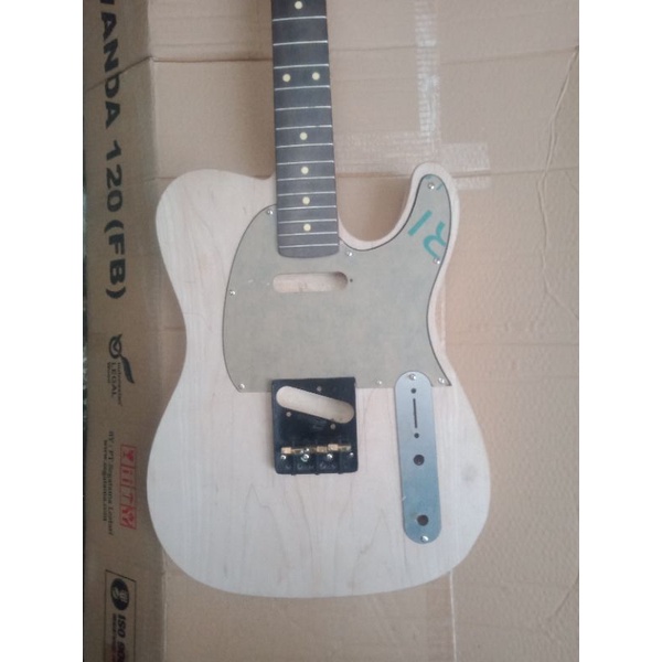 custom gitar telecaster
