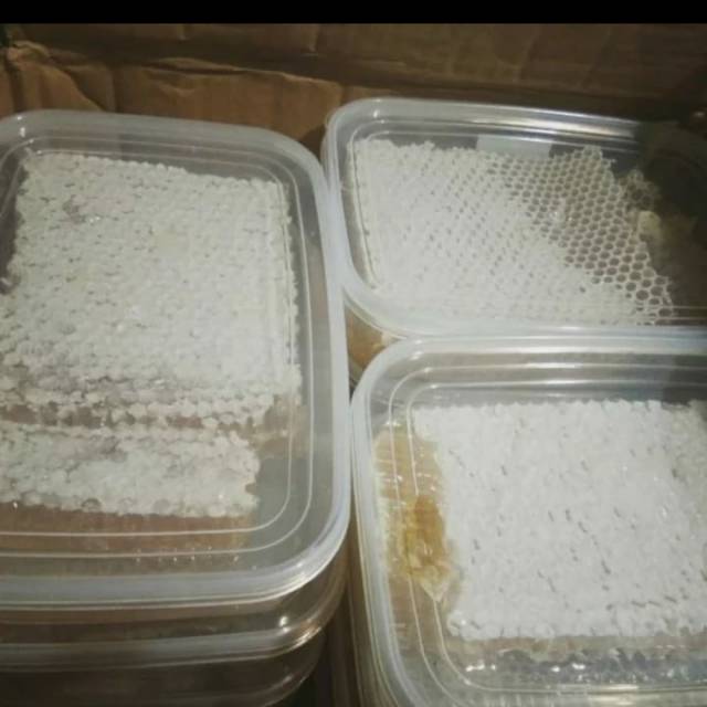 

Madu sarang asli