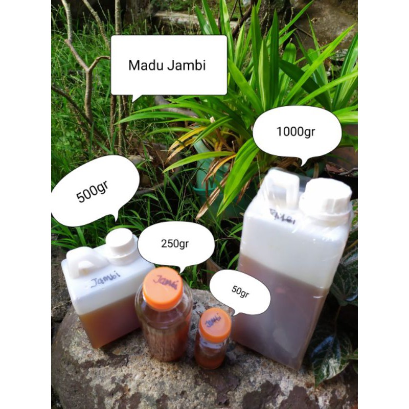 

Madu Jambi