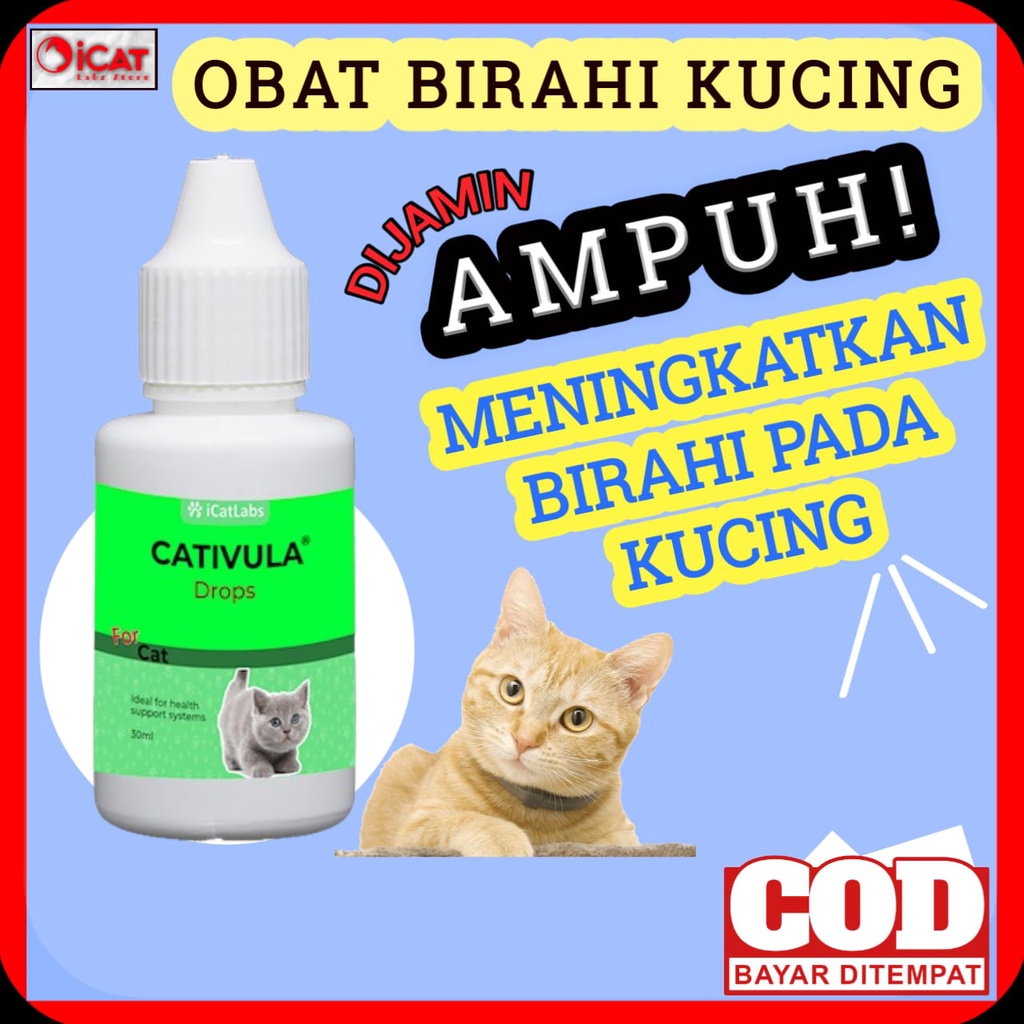 OBAT BIRAHI PADA KUCING PENAMBAH BIRAHI KUCING PENINGKAT BIRAHI KUCING VITAMIN BIRAHI KUCING VITAMIN