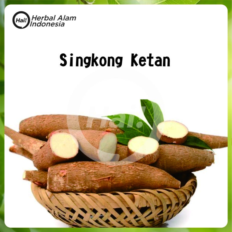 

Umbi Singkong Ketan 1KG HAI STORE