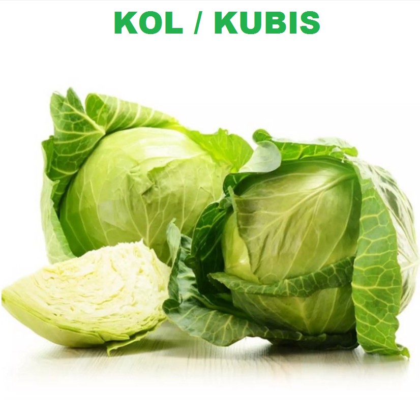 KOL / KUBIS  - 15 Biji / Benih / bibit KOL / KUBIS - KOL UNGGULAN - Seed buah - bibit sayur - Bibit 