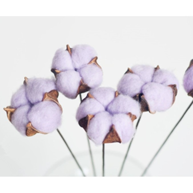 Cotton Flower Bunga Kapas Asli Single Stem Dekorasi Hiasan Bunga Artificial per tangkai-UNGU