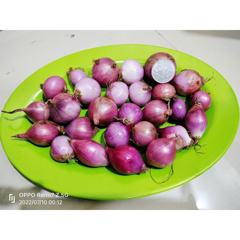

bawang merah super