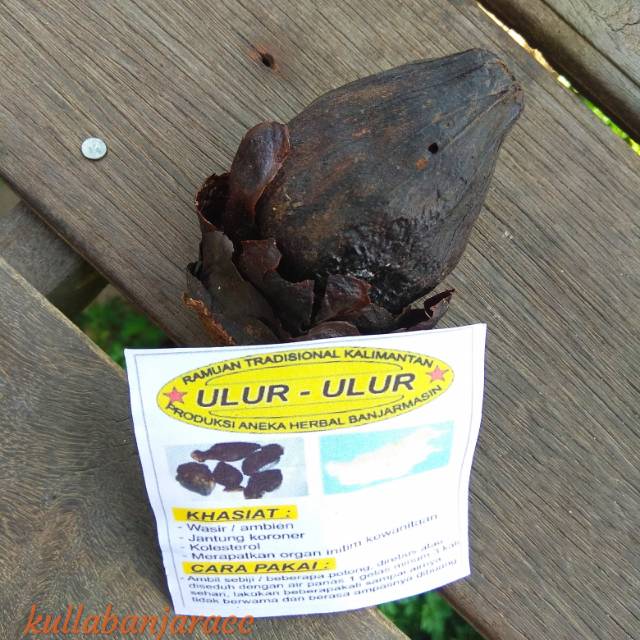 

Ulur ulur ramuan tradisional kalimantan