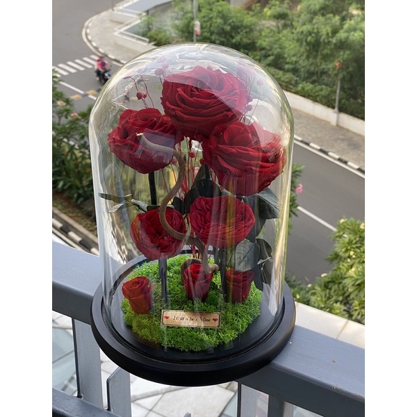 Preserved Rose Mix composition