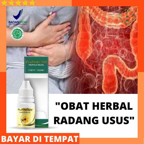 

Obat Herbal Alami Radang Usus Buntu Asam Lambung Gerd Tukak Tinggi Maag Kronis Perih Ulu Hati Panas