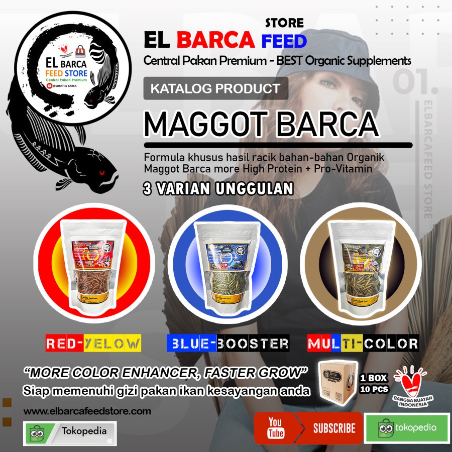 ELBARCA PAKAN MAGGOT BSF KERING PREMIUM BLUE RED YELLOW  IKAN CHANNA CHANA AURANTY AURANTI STEWARTY 