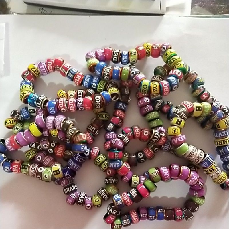 GELANG RING PELANGI KAKI BURUNG MERPATI POS DARA.