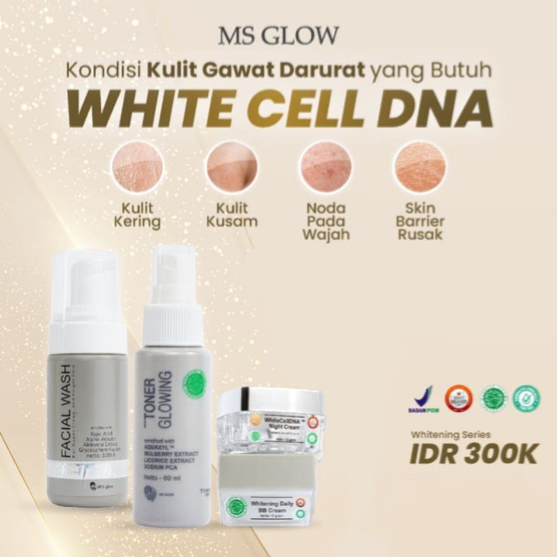 MS GLOW PAKET DNA SALMON