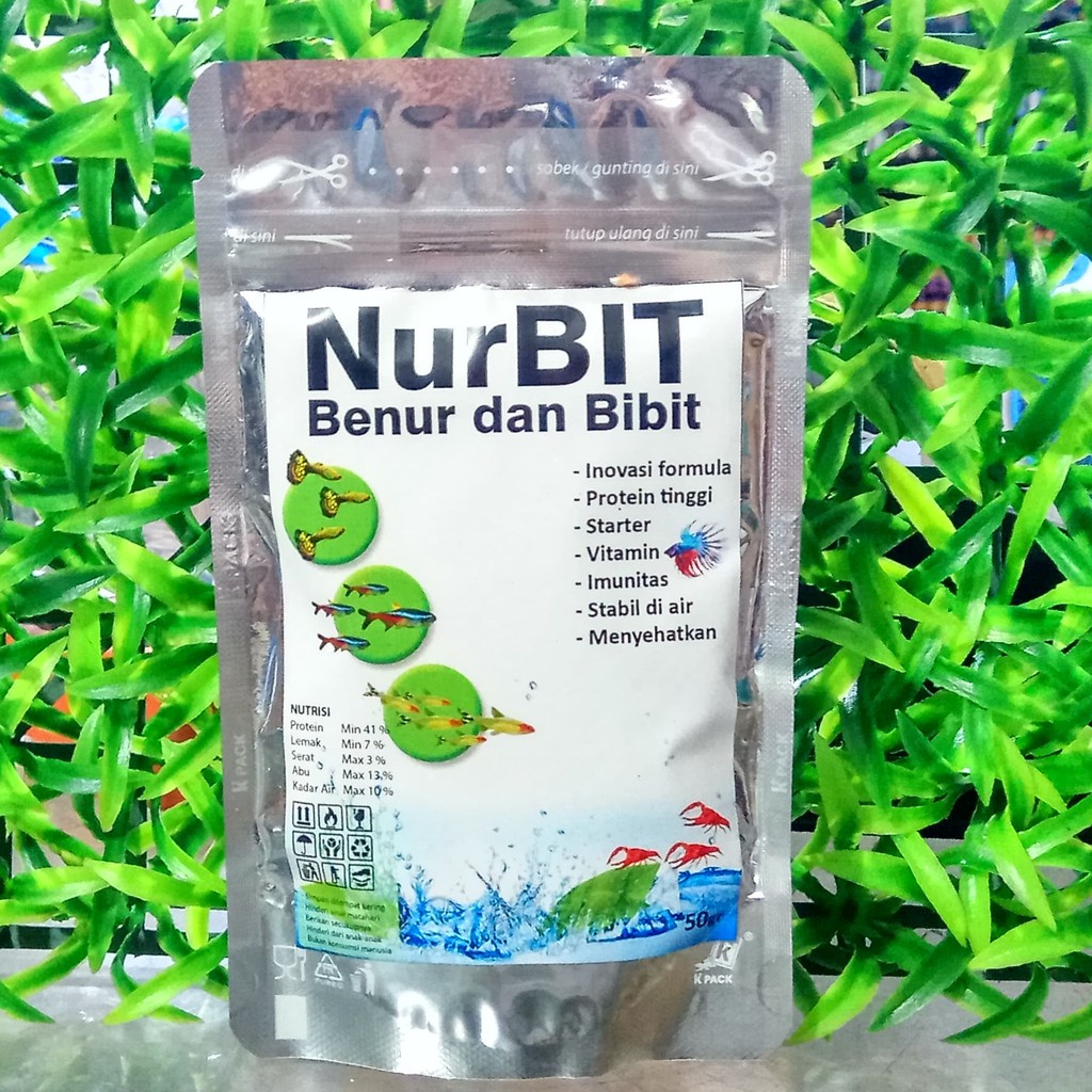PAKAN BURAYAK NURBIT BENUR BIBIT CUPANG GUPPY UDANG LOBSTER IKAN HIAS