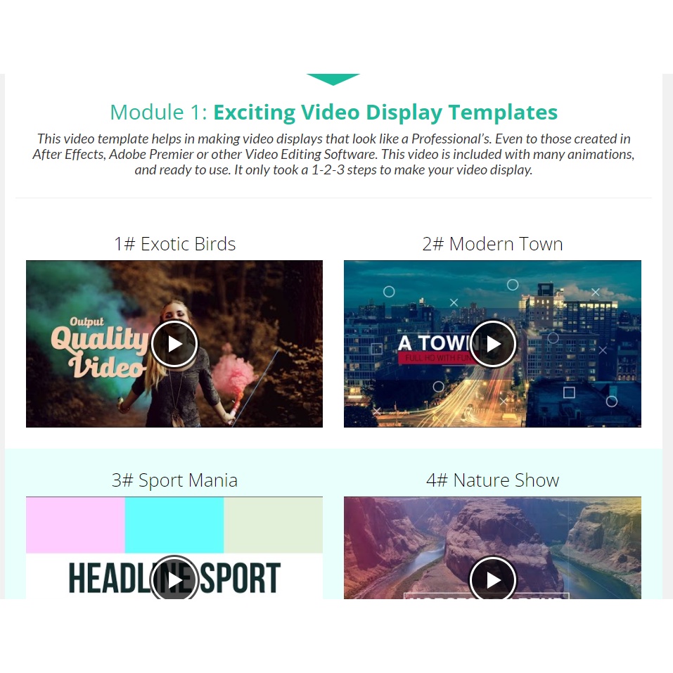 VIDEOWIDE - POWER POINT TEMPLATE