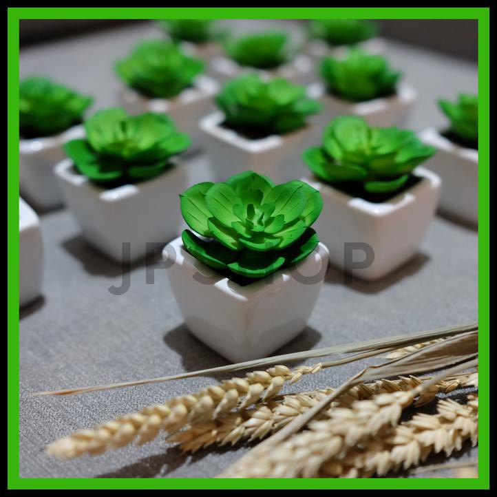 B5Ca Sukulen Artificial Kaktus Palsu Pot Kaktus Succulent Mini Bunga Palsu S49D