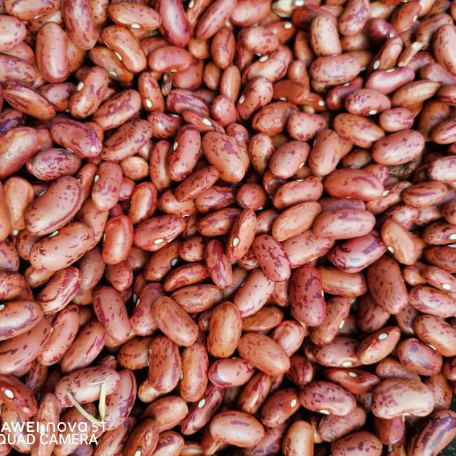 

Kacang Jogo / Merah / Es berat 1kg/1000r