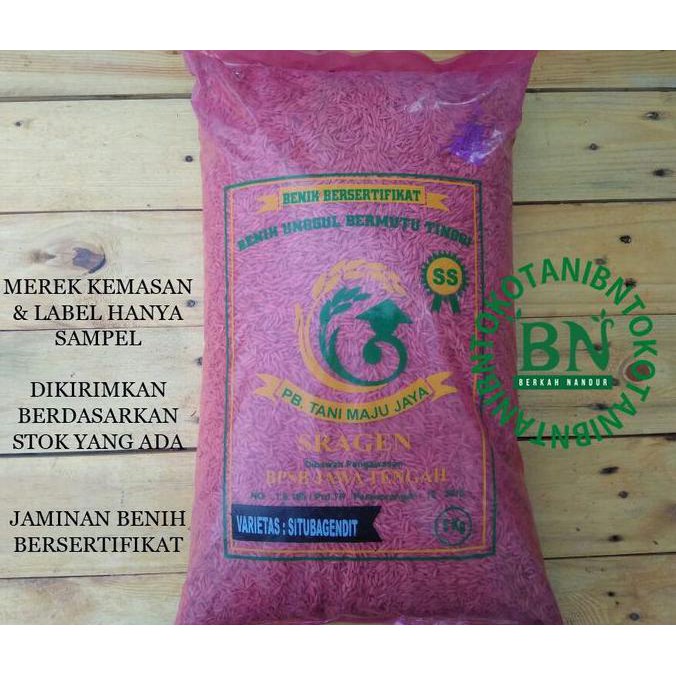 Paling Dicari] Benih Padi Ladang Dan Sawah Situ Bagendit