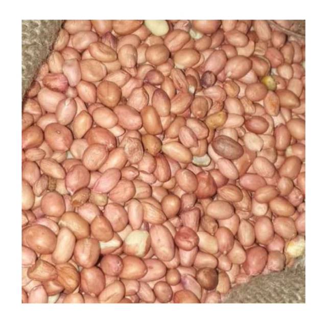 

Kacang tanah [500 gram]