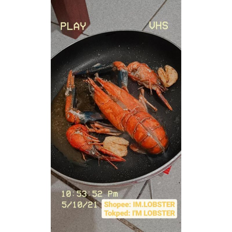 

lobster air tawar konsumsi per kilo (fresh)