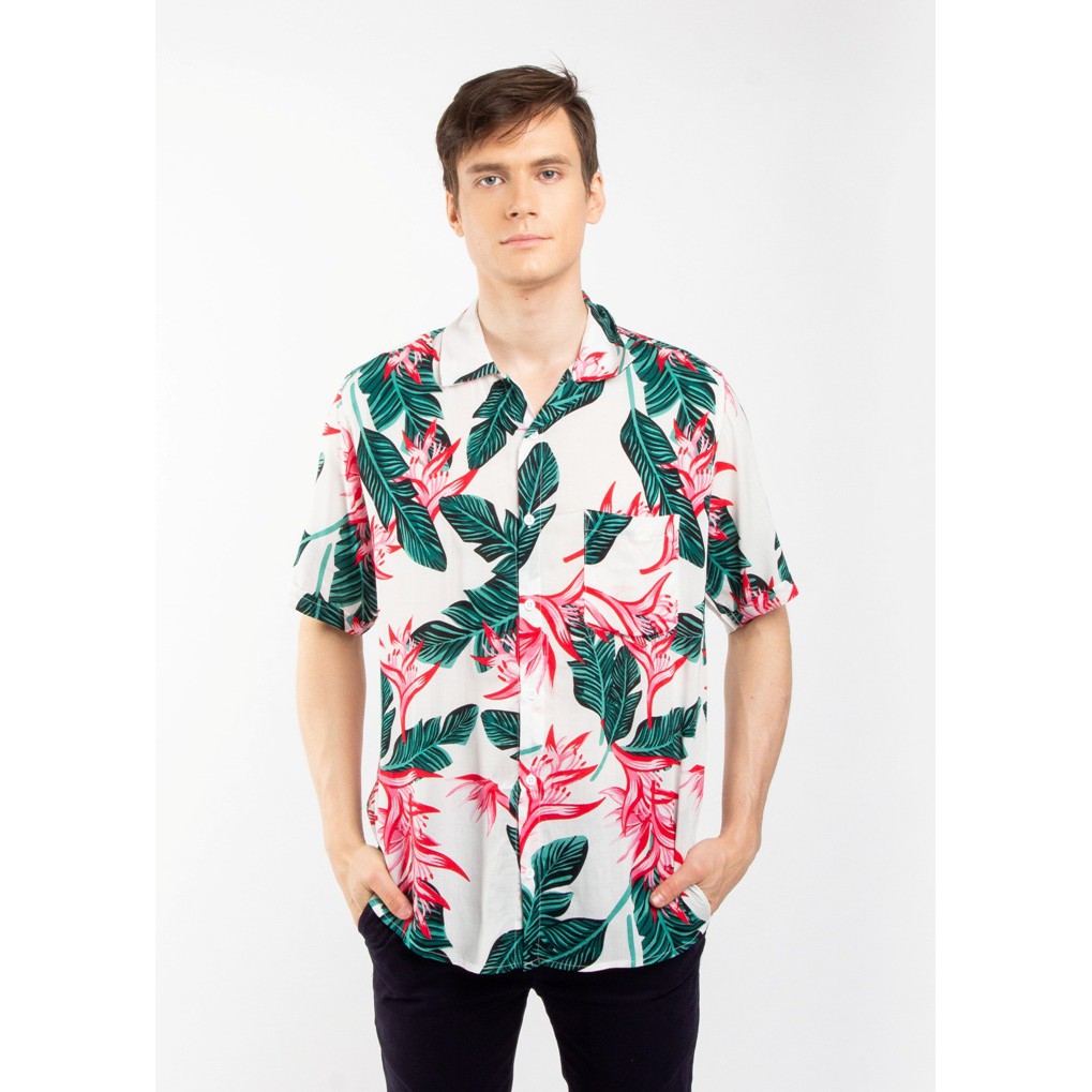 

Erigo Hawaii Ginevra White