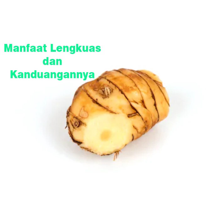 

LENGKUAS/LAOS/1KG..LENGKUAS SEGAR/lengkuas murah