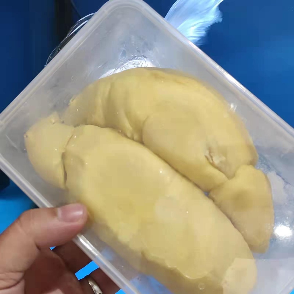 

DURIAN MONTONG PALU PARIGI FRESH 500GRAM