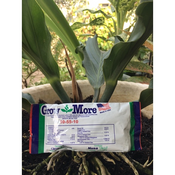 Pupuk Daun Growmore 10-55-10