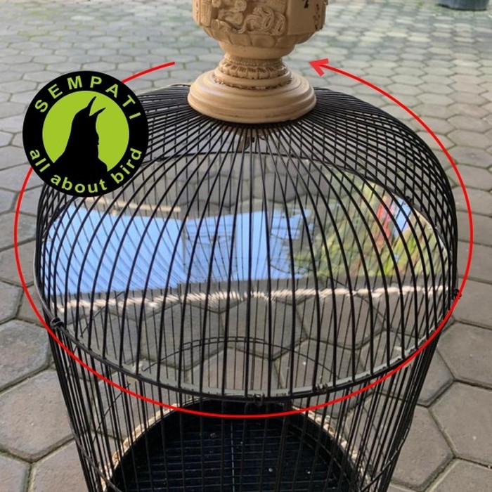 PLAFON ATAP AKRILIK SANGKAR KANDANG BURUNG LOVEBIRD JEBAKAN