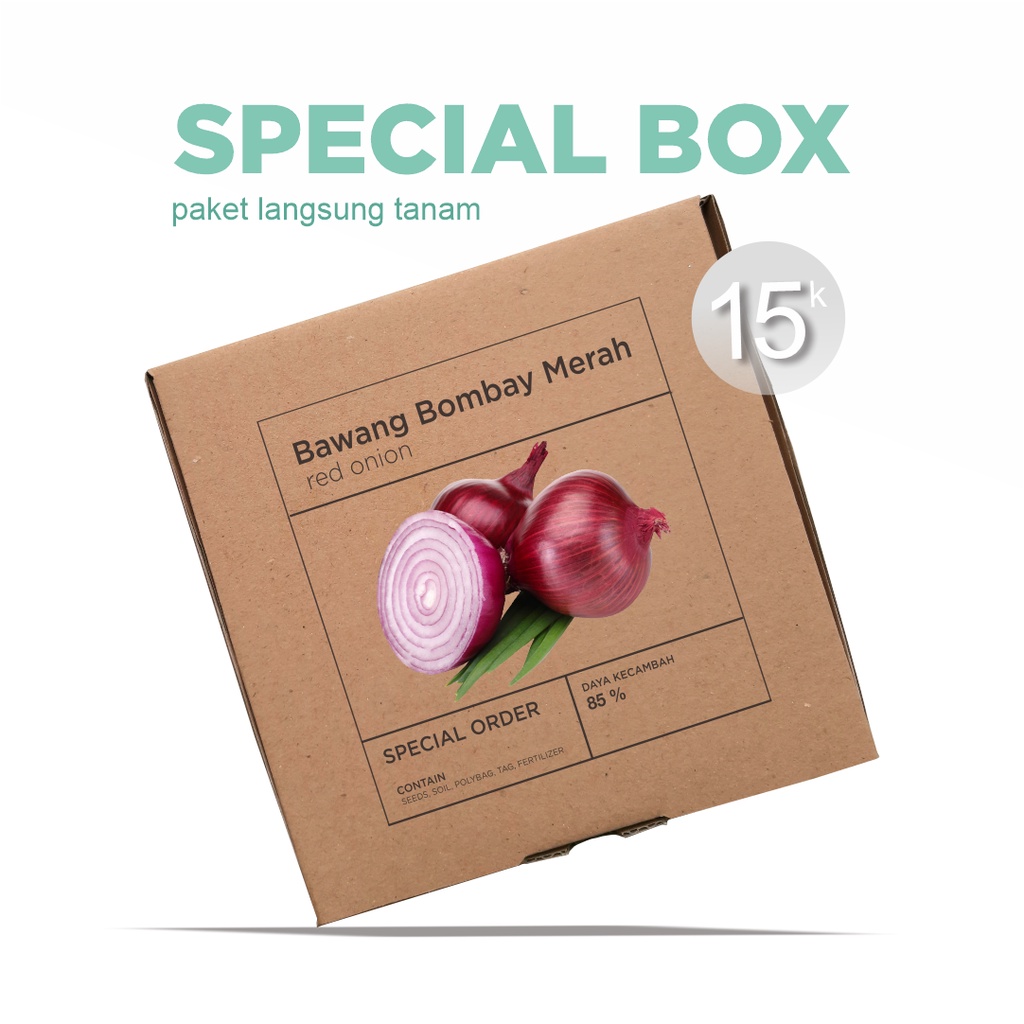 Paket Langsung Tanam - Gardening Kit - SPECIAL BOX - Benih Bawang Bombay Merah Red Onion Burgundy Seeds