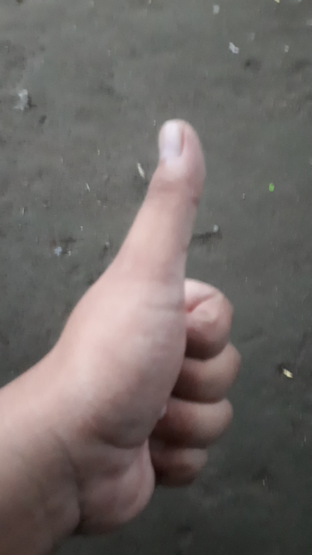 Kolam Terpal Ikan / 200x200x50cm / Type A5 Korea Original / Kwalitas Sedang / Cocok Buat Pemula