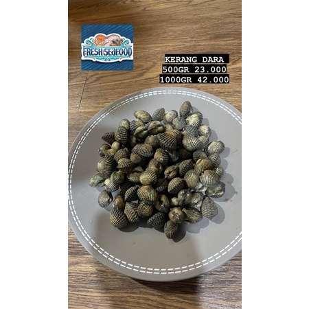 

KERANG DARA SEAFRESH