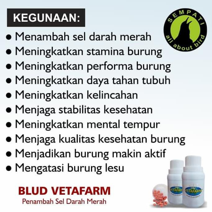 Best Promo Blud Vetafarm Obat Vitamin Antibiotik Penambah Sel Darah Merah Shopee Indonesia