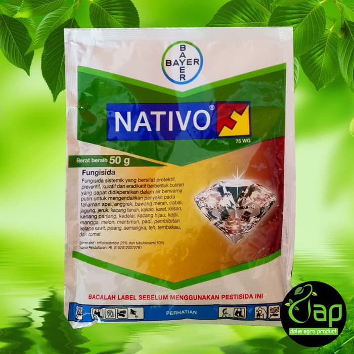 FUNGISIDA NATIVO 75WG 50 GRAM - Tebuconazole (50%) dan trifloxystrobin (25%) - Bayer