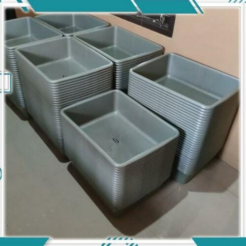 BAK TAHU TAIWAN ABU ABU / BAK SEGI TAIWAN