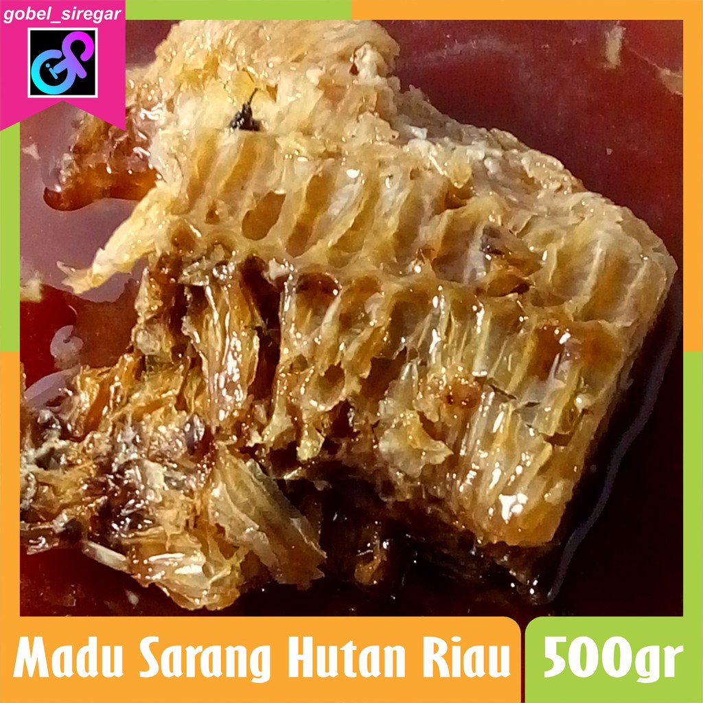 

Madu Sarang Hutan Riau 500gr