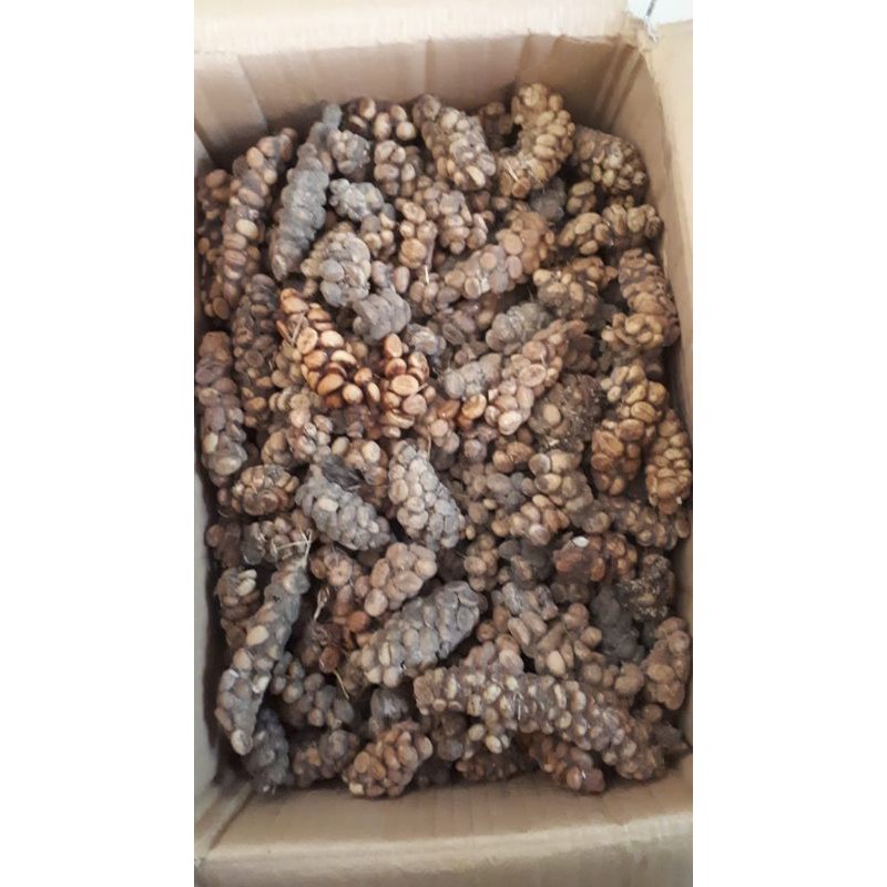 

COFFEE BEANS LUWAK LIAR