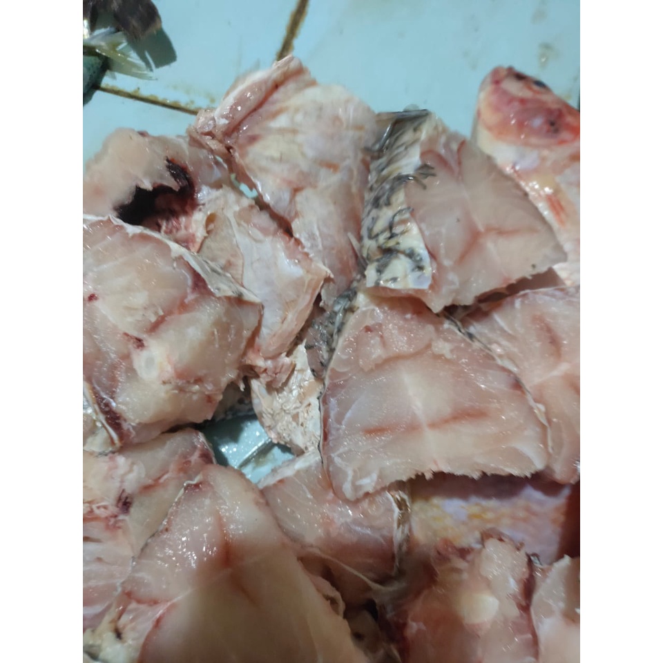 

Ikan Kakap Potong