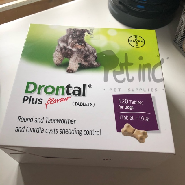 Drontal plus obat cacing anjing