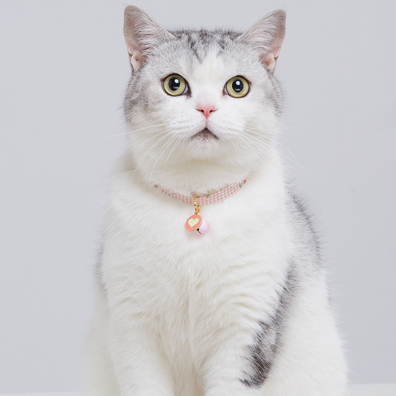 Cherry Lemon Pet Dog Cat Collar Kalung Anjing Kucing Lucu