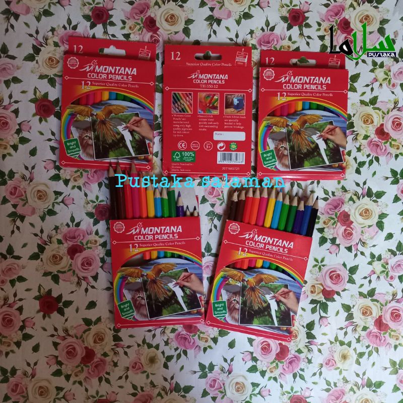 

pensil warna anak montana colors