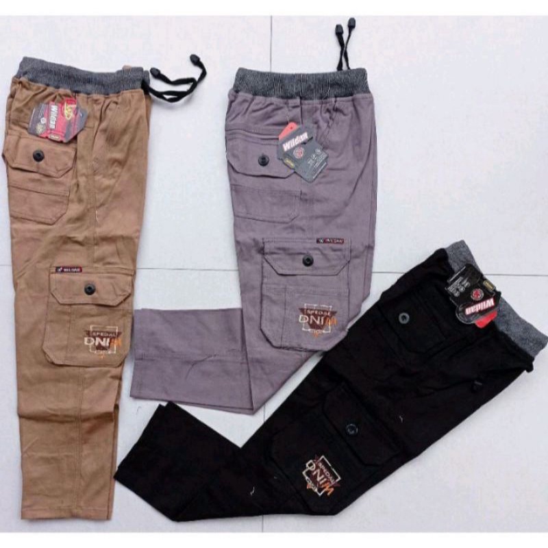 CELANA CARGO ANAK CELANA RIP ANAK LAKI LAKI